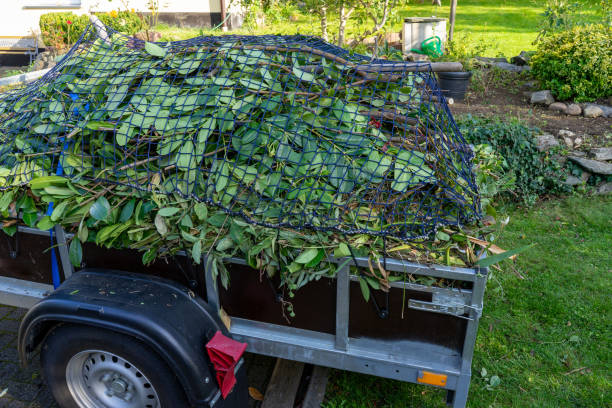 Best Commercial Junk Removal  in Wedgefield, SC